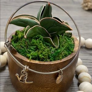 Alex and ani bracelet